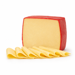 queso barra tybo casanto x100g